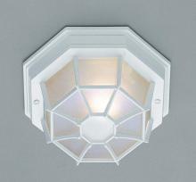 Trans Globe 40581 BG - Benkert 1-Light, Weblike Design, Enclosed Flush Mount Ceiling Lantern Light