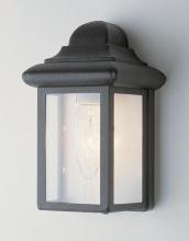Trans Globe 44835 BK - Vista 1-Light,Clear Glass Sides with Metal Pagoda Top, Pocket Wall Lantern